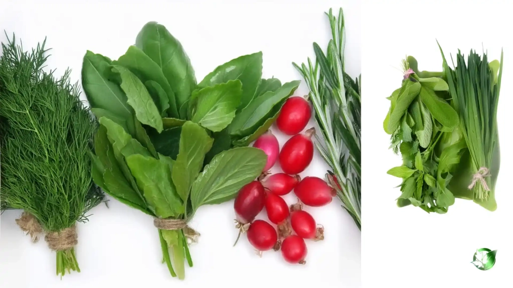 خرید عمده سبزی خوردن تازه
