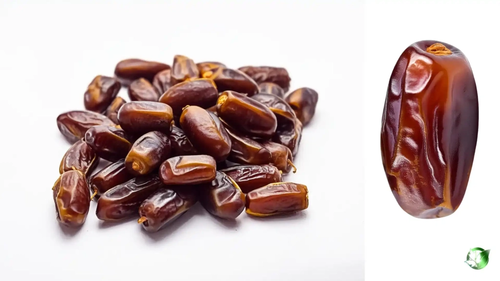 خرید عمده خرما استعمران