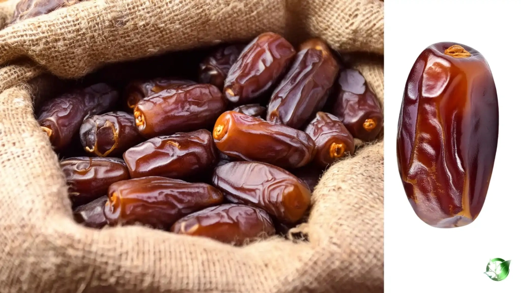 خرید عمده خرما استعمران