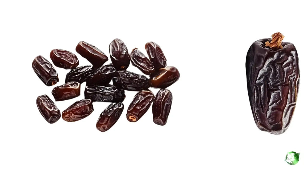 خرید عمده خرما ربی