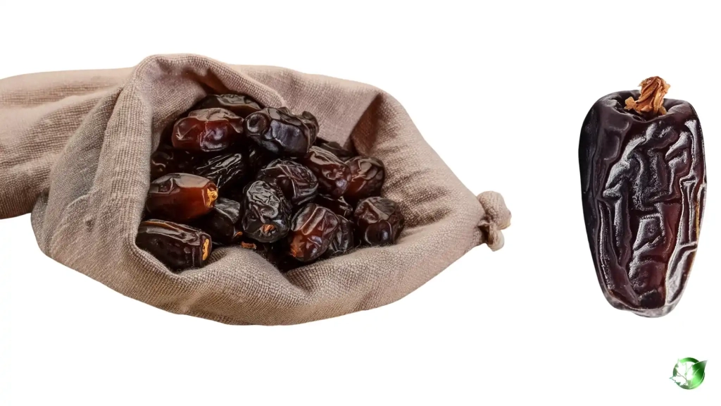 خرید عمده خرما ربی