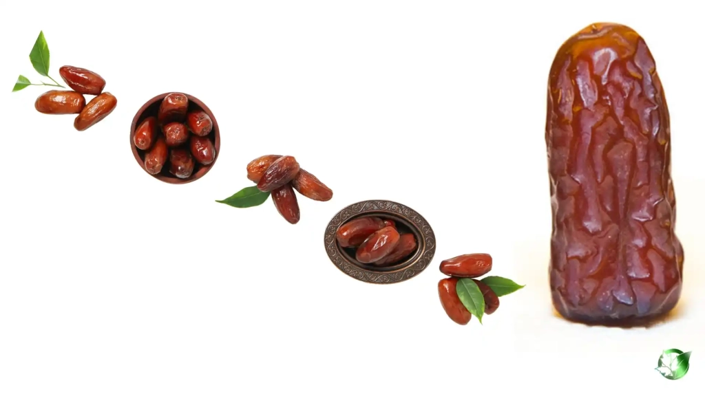 خرید عمده خرما پیارام