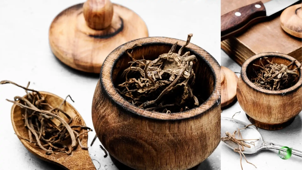 خرید عمده سنبل الطیب