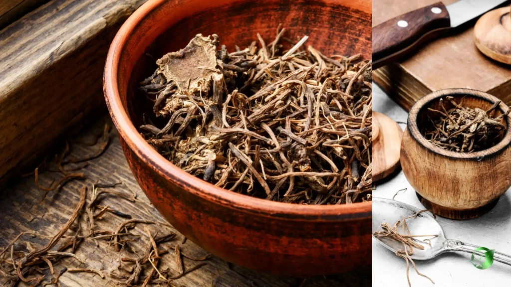 خرید عمده سنبل الطیب