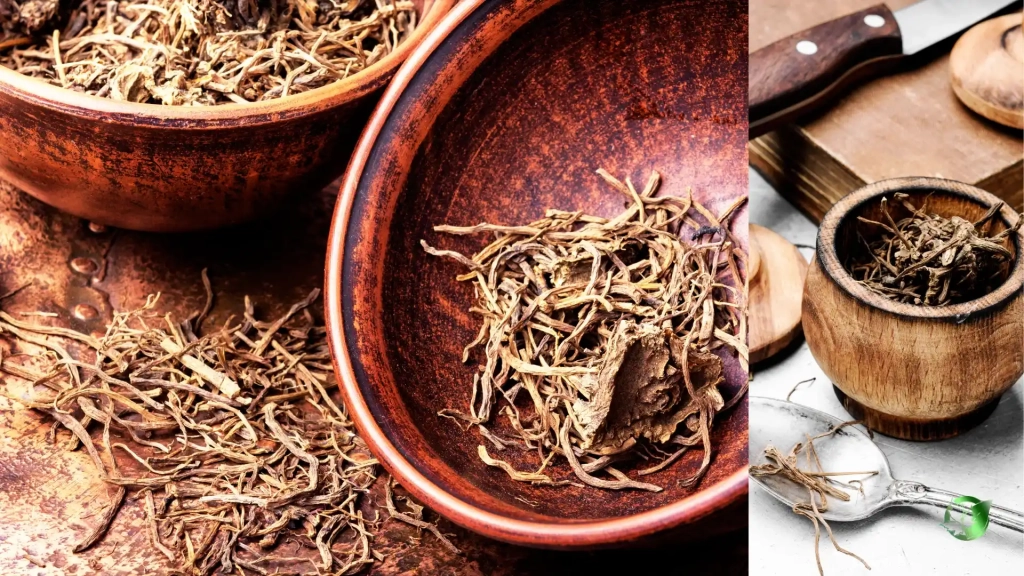 خرید عمده سنبل الطیب