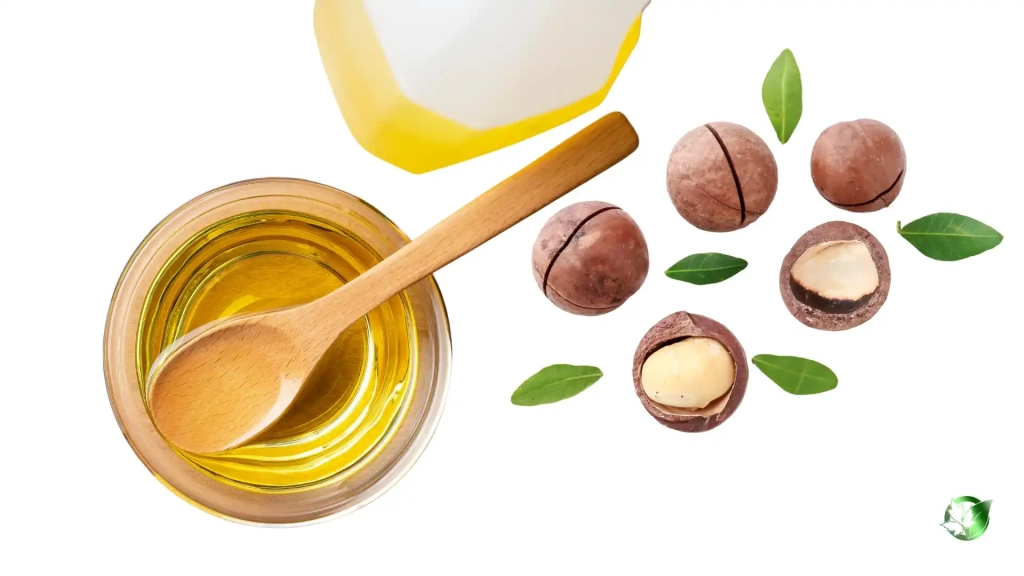 کلسترول و چربی موجود در آجیل مفید است یا مضر؟