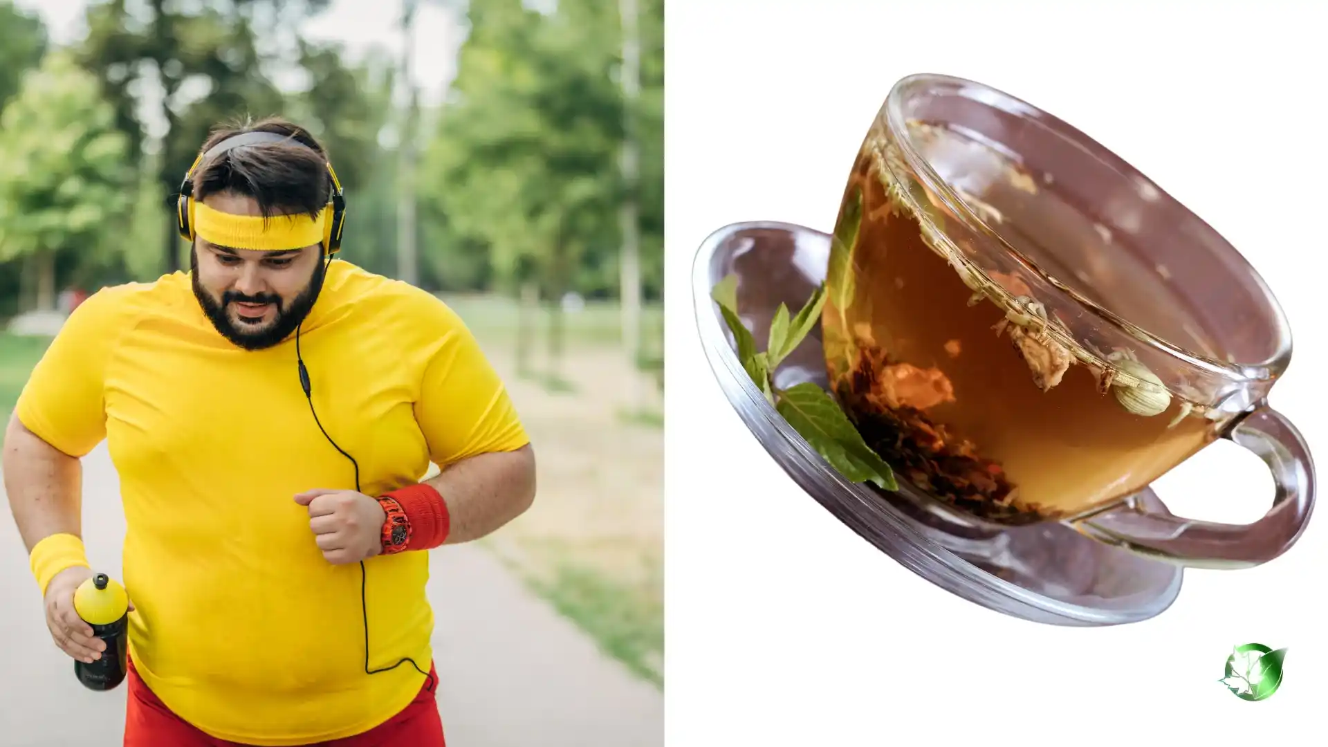 بهترین دمنوش لاغری و چربی سوز شکم و پهلو
