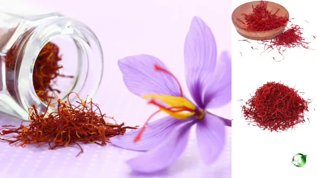 خرید زعفران صادراتی