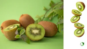 خرید کیوی صادراتی