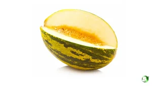 خرید خربزه عمده