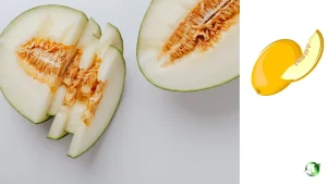 خربزه صادراتی عمده