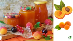 خرید زردآلو عمده 