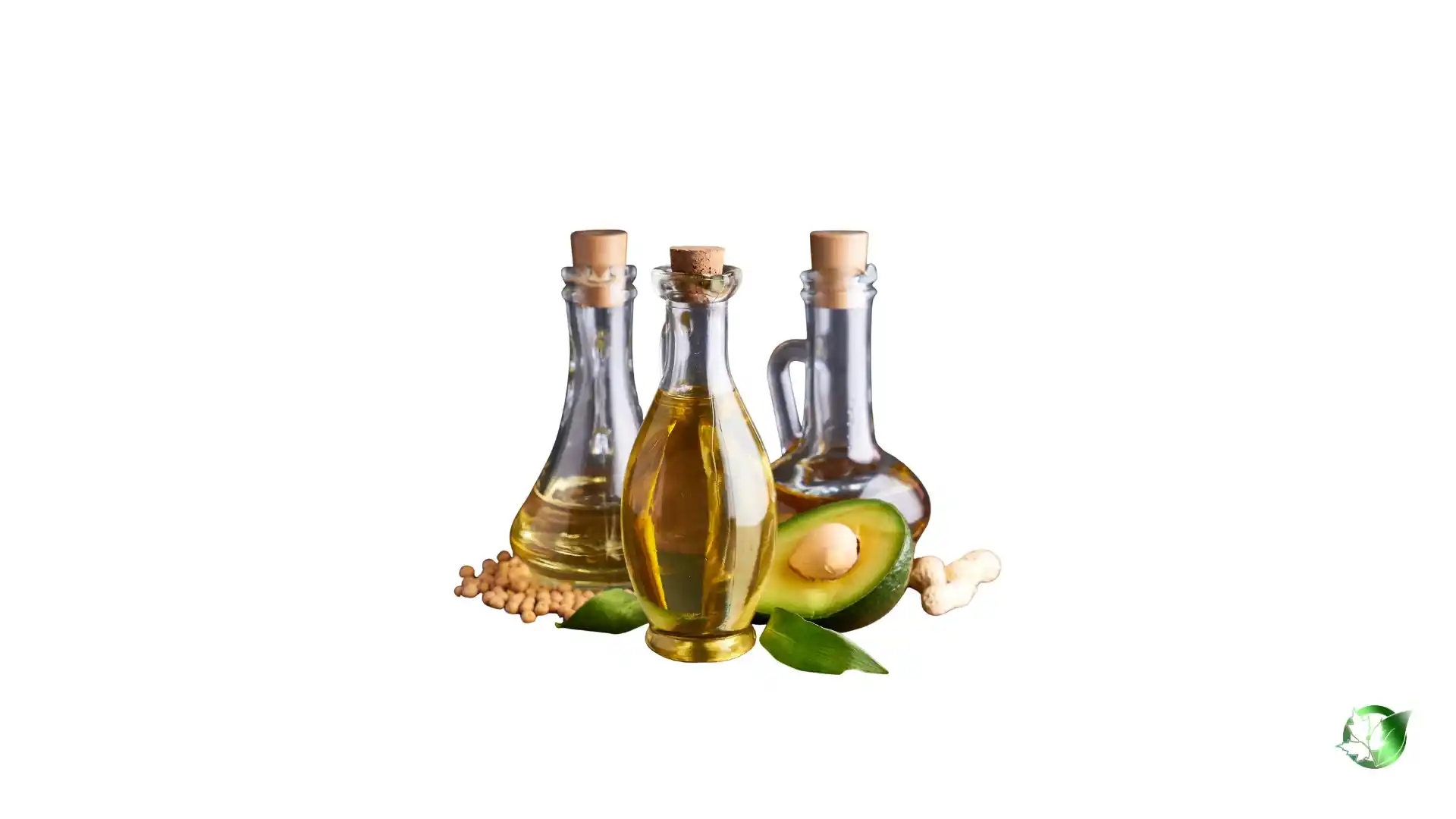 خرید عمده روغن خوراکی