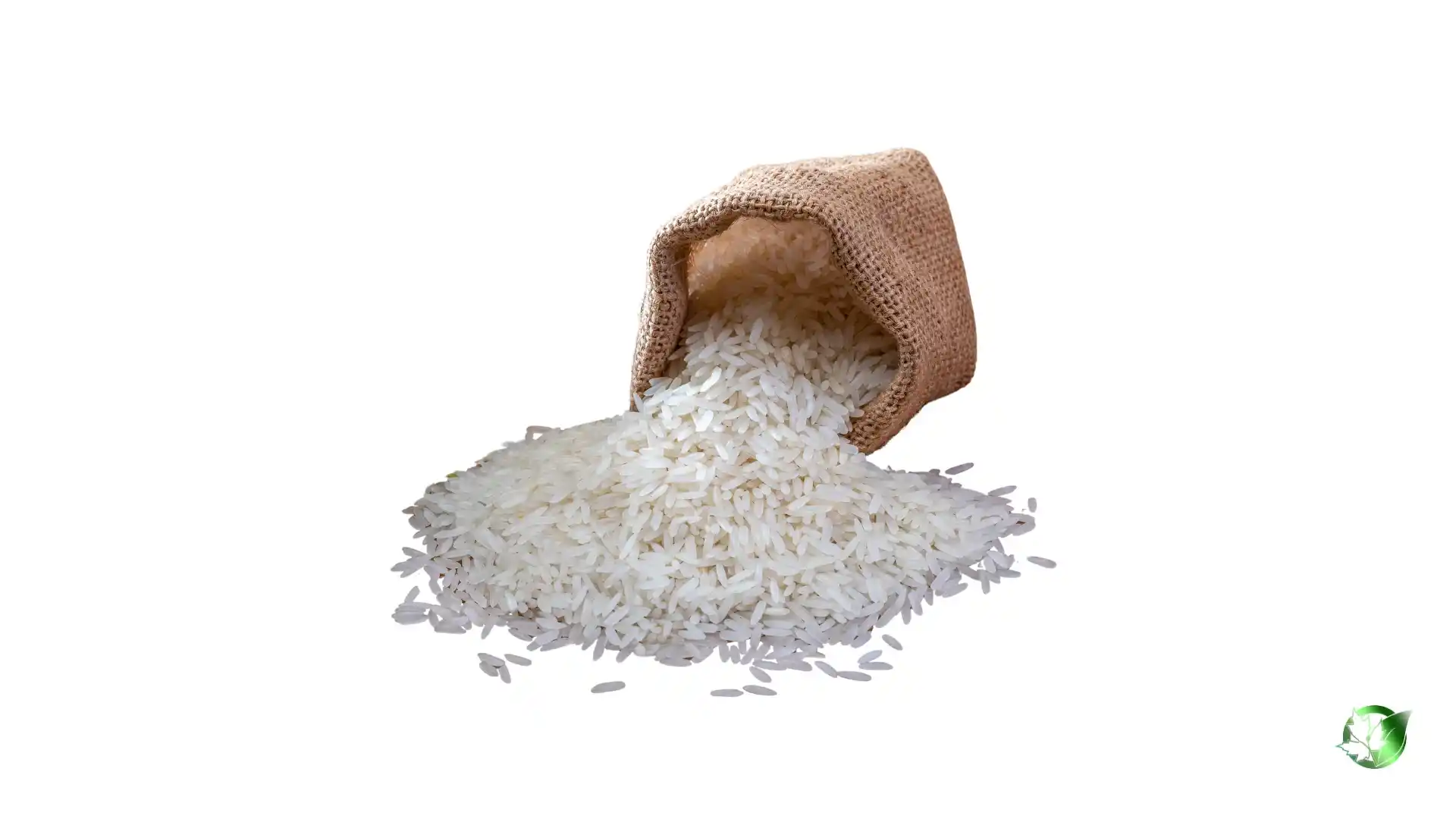 خرید عمده برنج