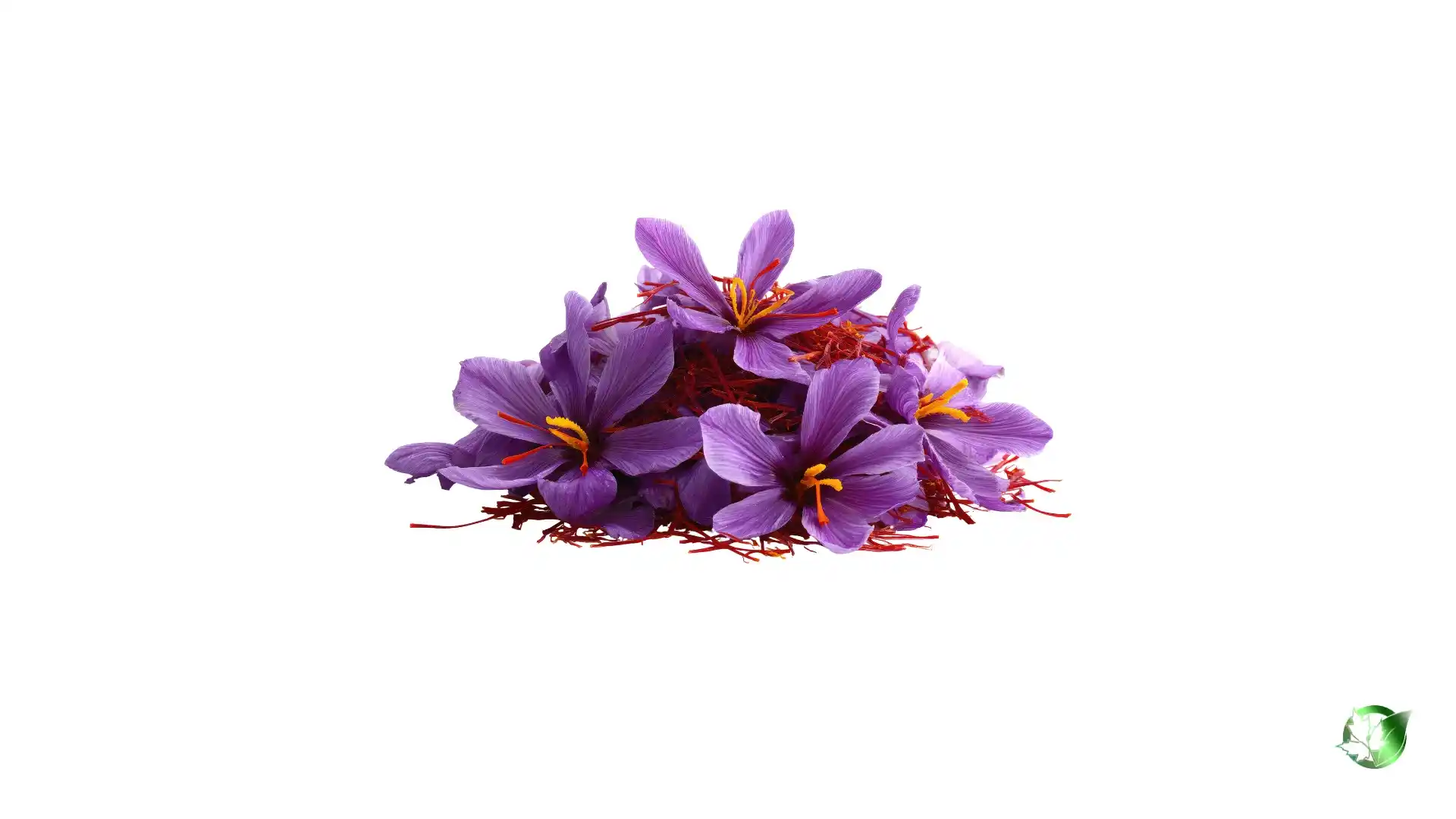 خرید عمده زعفران