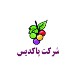 شرکت پاکدیس