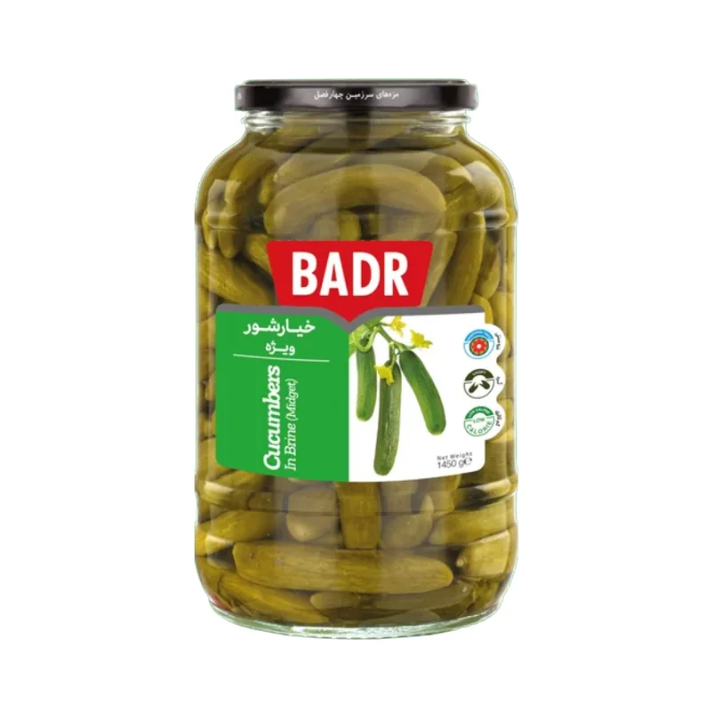 خیارشور