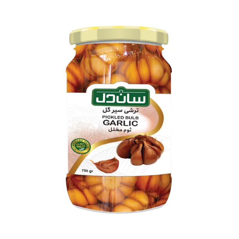 سیر
