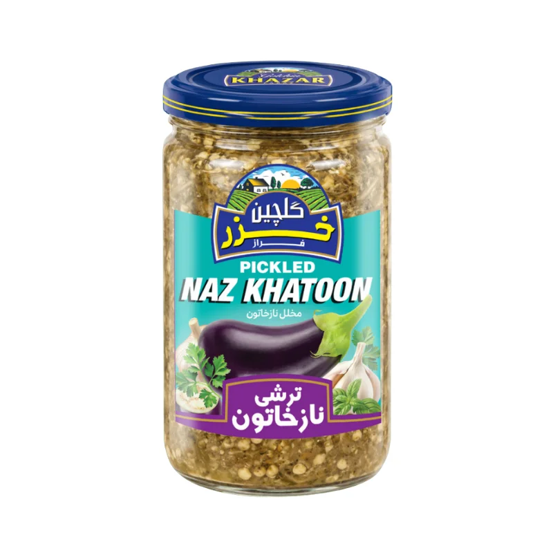 ترشی نازخاتون