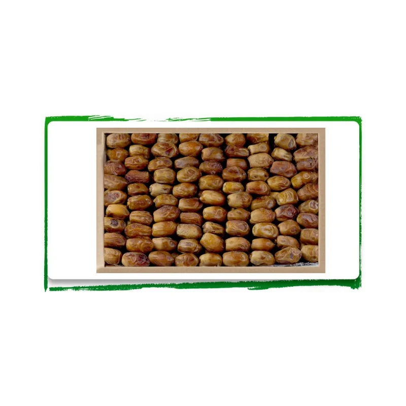 خرمای زاهدی