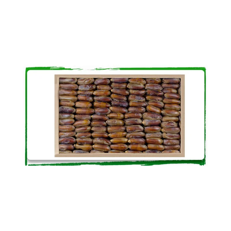 خرمای شاهانی
