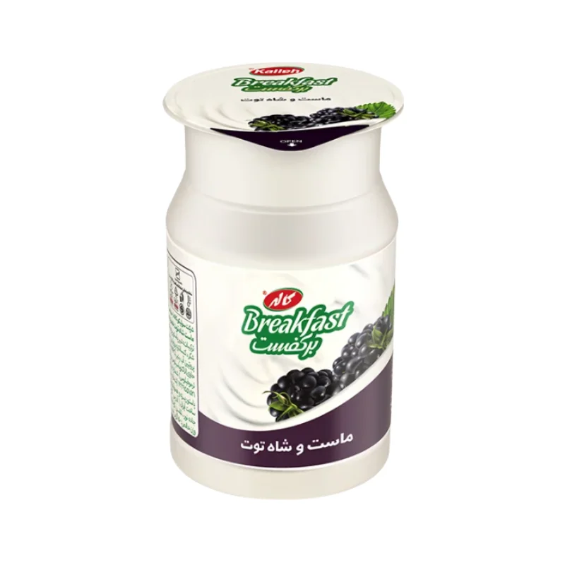 ماست صبحانه تمشک سیاه